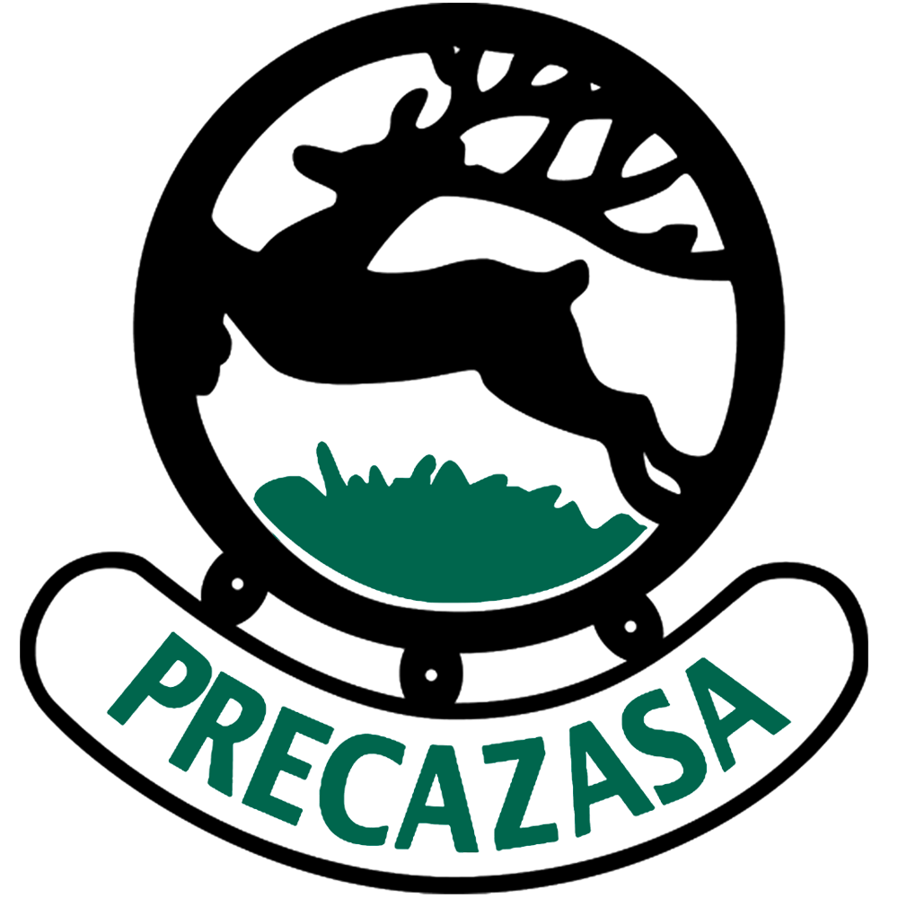 branch logo