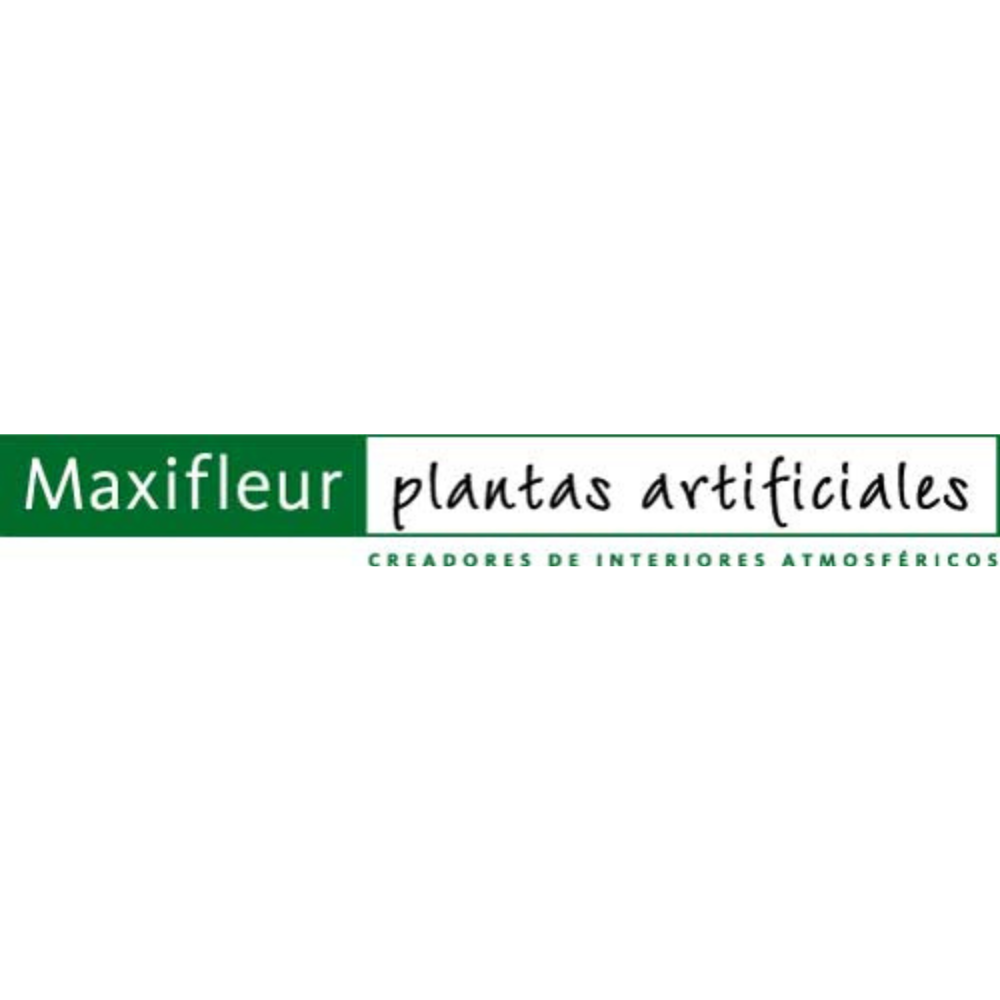 branch logo