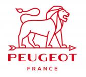 branch logo