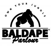branch logo