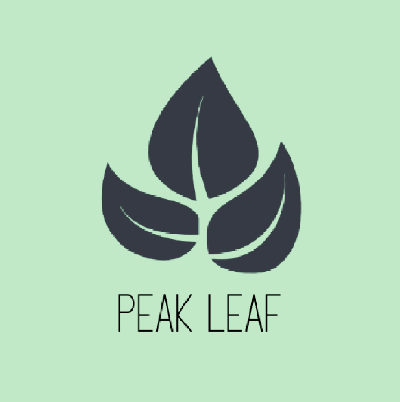 branch logo