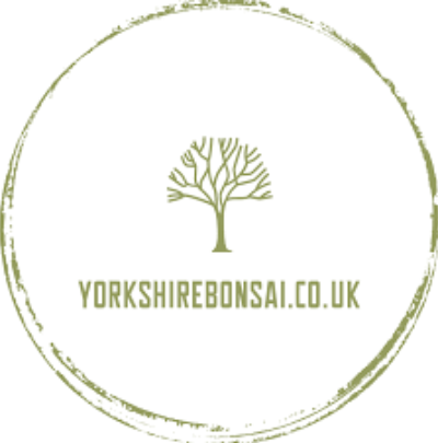 branch logo