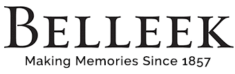 branch logo