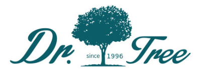 branch logo
