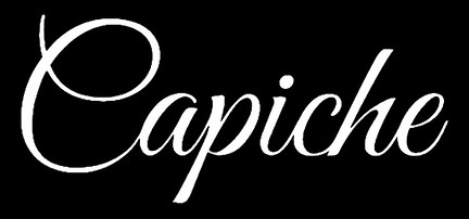 branch logo