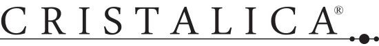 branch logo