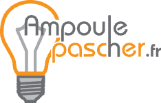 branch logo