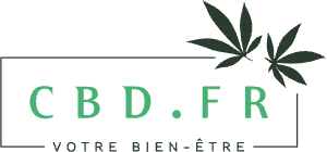 branch logo