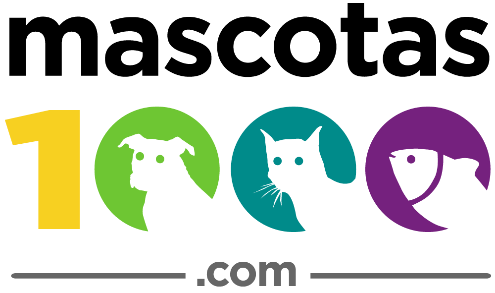 branch logo