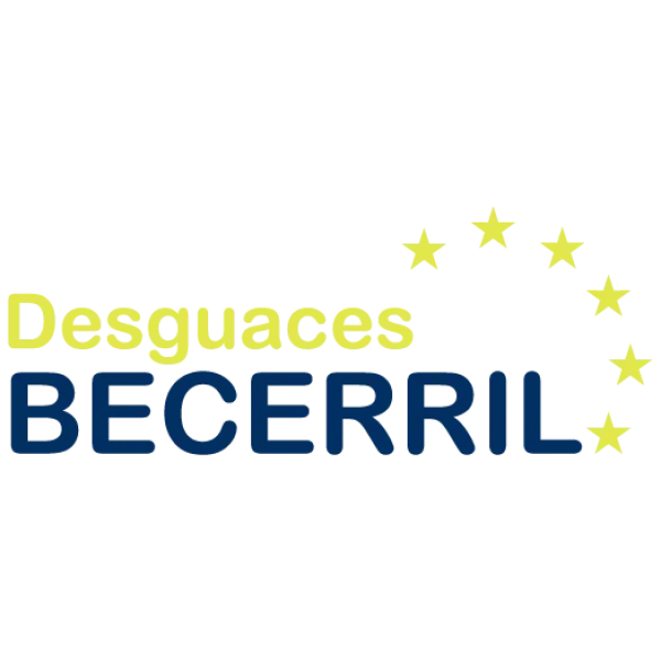 branch logo