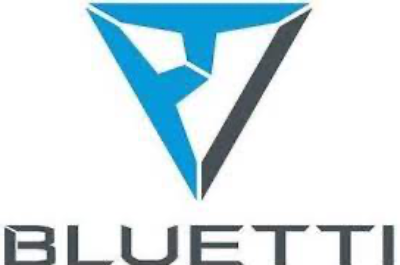 branch logo